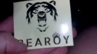 Product review for the Bearoy Travel Backseat Organizer