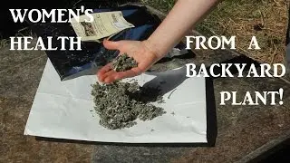 The Miracle Herb for Women's Health!
