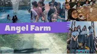 Angel Farm | Mini Kerala | Dholbaha | Hoshiarpur | Punjab