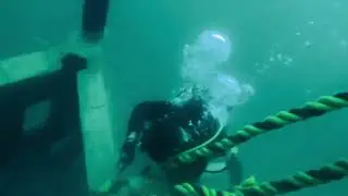 Assisting Reef Makers!!