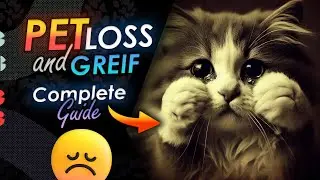 Pet Loss and Grief A Guide for Cat Owners
