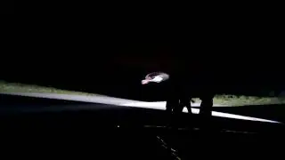 Mirko Cesena Night Flight Furtivos 2024