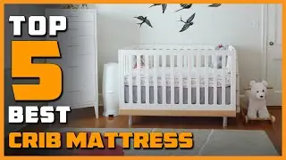 Top 5 Best Crib Mattress Review in 2023