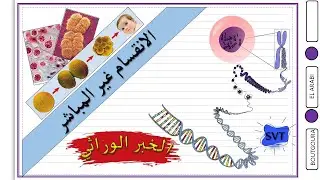الخبر الوراثي - الانقسام غير المباشر La mitose-