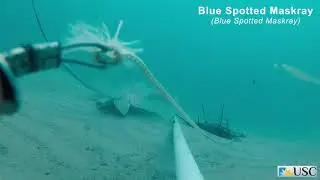 Yaroomba Beach Highlight Video