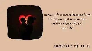 Eduqas GCSE RE - Foundational Catholic Theology - What is sanctity of life?