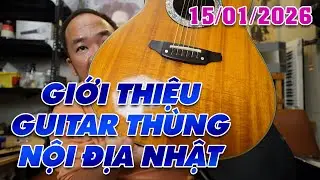 GIỚI THIỆU GUITAR THÙNG NỘI ĐỊA NHẬT HÀNG TUYỂN CHỌN NGÀY 15/01/2026