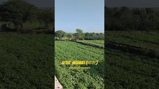 Mawath Rain 🌧️ in South East Rajasthan #farming #viral #nature #satisfying #vlog #rajasthan