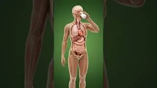 &ldquo;Milk Benefits & Side Effects | 3D Anatomical Visuals | Cinematic Health Science&rdquo;