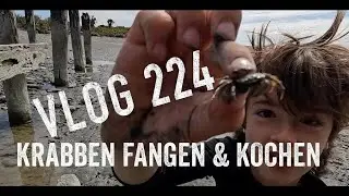 Camping & 4WD-Knoten: Abenteuer mit Josh James in Neuseeland &ndash; Pipis, K&ouml;derfischen & mehr