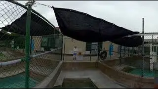 Experience a Sea Lion Release in 360