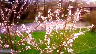 Ruby fpv with OpenIPC Thinker