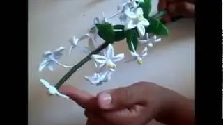 FLOR DE LARANJEIRA DE EVA