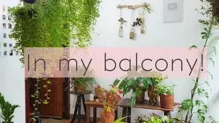 My balcony garden tour| Botanical Woman
