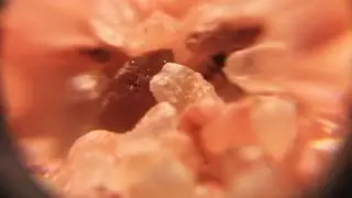 Himalayan rock salt Zoomed x15