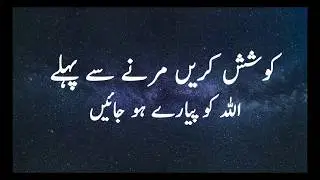 Most Beautiful 2 Line Quotes In Urdu || Heart Touching Collection Of Urdu Quotes || Educationalvally