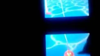 zelda phantom hourglass fishing toona