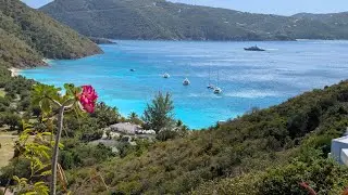 Guana Island clips January 2026