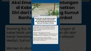 Aksi Emak-emak Gelantungan di Kabel Listrik Terjang Banjir Bandang di Sumut, Bantuan Disebut Lambat