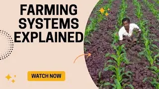 Farming Systems Explained for UPSC Prelims | Wetland, Dryland, Rainfed & Mixed Farming with Examples