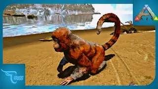 CARA MUDAH TAMING MESOPITHECUS EPS 31 || ARK: Ultimate Mobile Edition Indonesia