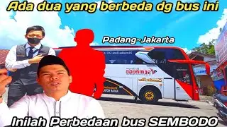 Inilah Perbedaan bus SEMBODO