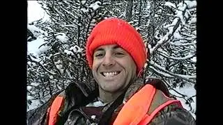 Quebec caribou