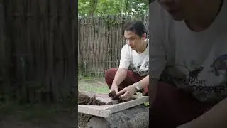 Would you use paper made out of elephant poop? #recycling #shorts