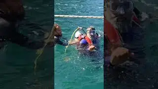 fishing sonera