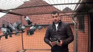ENES SUKAJ-GOLUBARSKA UZDANICA NOVOG PAZARA
