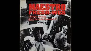Maestro Fresh Wes - Makin' Records