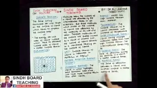 live Lecture on Surface Tension