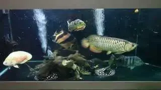 Feeding Time