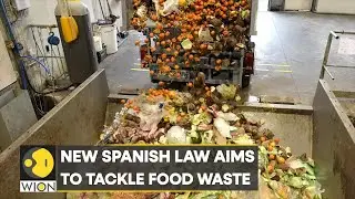 Spain: Restaurants to offer doggy bags to take home leftover food | International News | WION