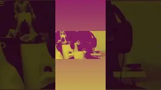 Damn Jayflows
