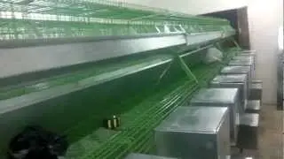 بطاريات ارانب للبيع