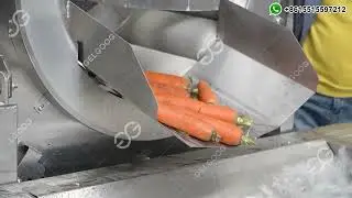 Automatic Carrot Cleaning, Washing, and Cutting Line