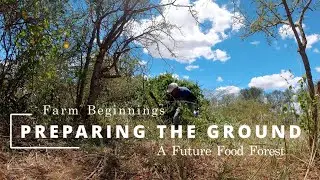 Preparing the Ground | Clearing Trees for a Future Food Forest | Farm Beginnings