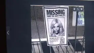 The unknown dangers of Molly