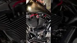 Bike engine vibration #bike #bikelover #bikelife #biker #harleydavidson