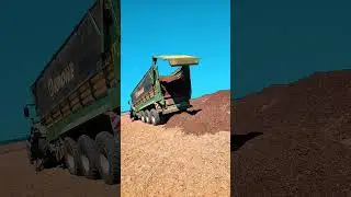 #jhondeer #class #fendt #krone #mais #silage2024 #2024