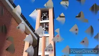 SPECIALE 350 ISCRITTI! ~ Campane Santuario SS Cosma e Damiano, S. Elena Sannita (IS)