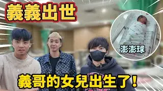 【陳天兵】義義出世！89教科書團長義義の女兒出生了「澎澎球」🐣！