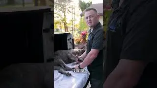The BEST Way to Trim Your Dog&rsquo;s Nails