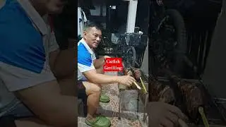 grilling Catfish👋 #follow #motivation #cooking