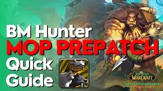 Beast Mastery Hunter MoP Classic Prepatch Guide