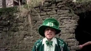 THE IRISH BANSHEE - CRAIC