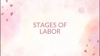 Stages of Labor