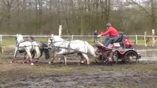 VAN DYCK, Thomas, BEL, CAI2 Ermelo NED 2016, Pony Four in hand, Marathon Ob 4