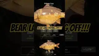 bear lake mirror carps!! #rf4gameplay #rf4 #russianfishing4 #fyp #shorts #smallyoutuber